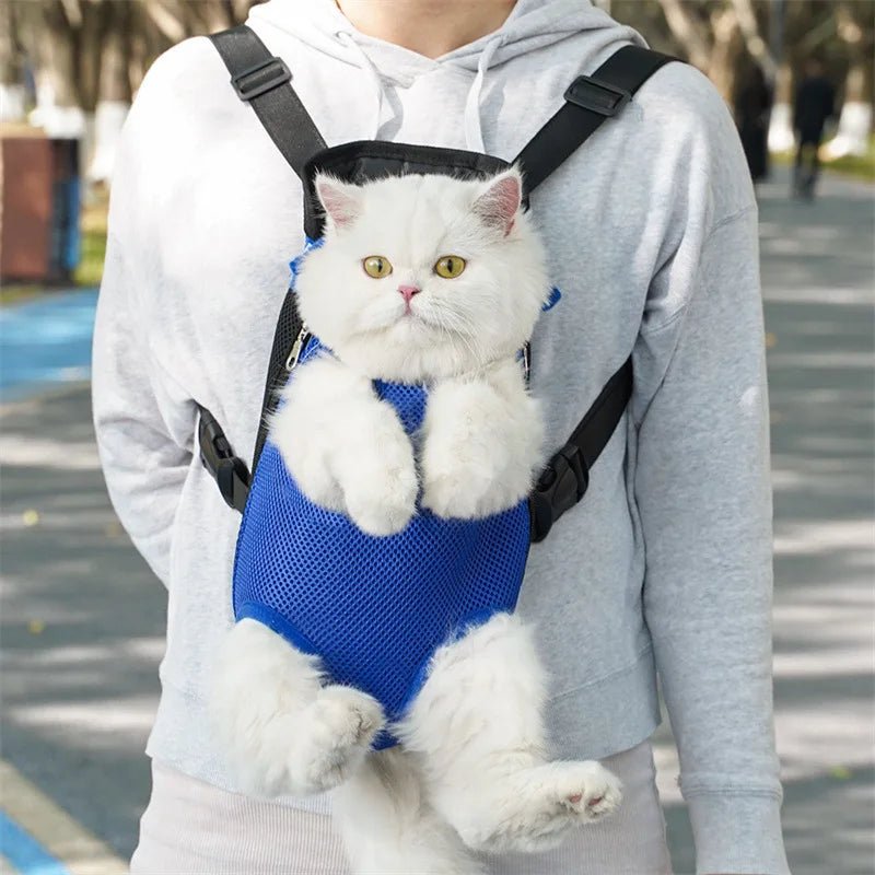 PetExplorer™ - Bleu - Minou Store