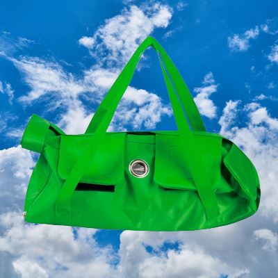 PetTravelOutBag™ - Vert - Minou Store