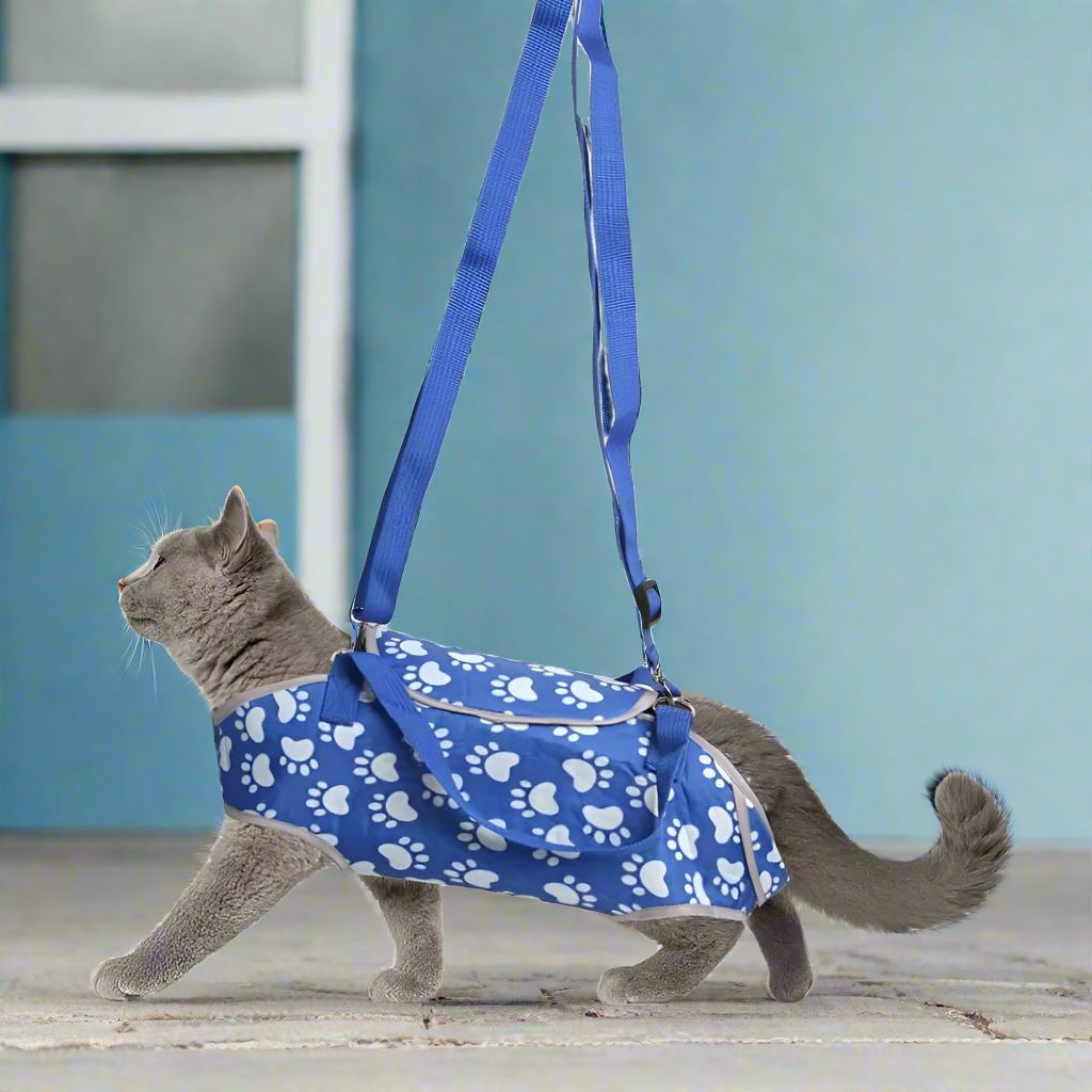 PorteChat™ - Bleu - Minou Store