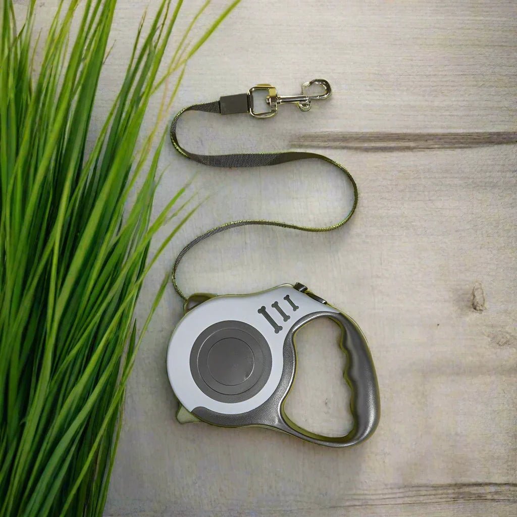 CatRetractablLeash™ - Noir - Minou Store